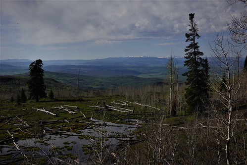 Boggy view SR602235 (2) by ferreth,                                2022 routt view colorado