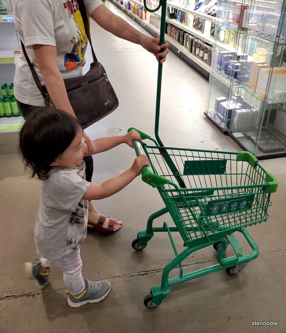 Toddler pushing a kid-sized grocery cart