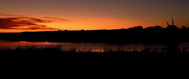 More Murray River sunrise moments.