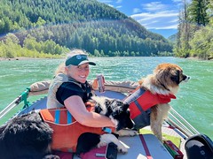 Floating the Middle Fork of the Flathead with the puppies