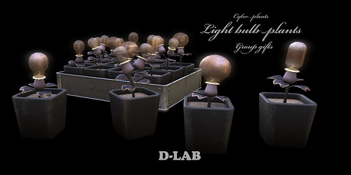 D-LAB Group gift cp Light bulb plant