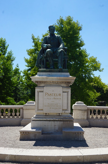 Horace Daillon, La Ville d'Arbois à Pasteur
