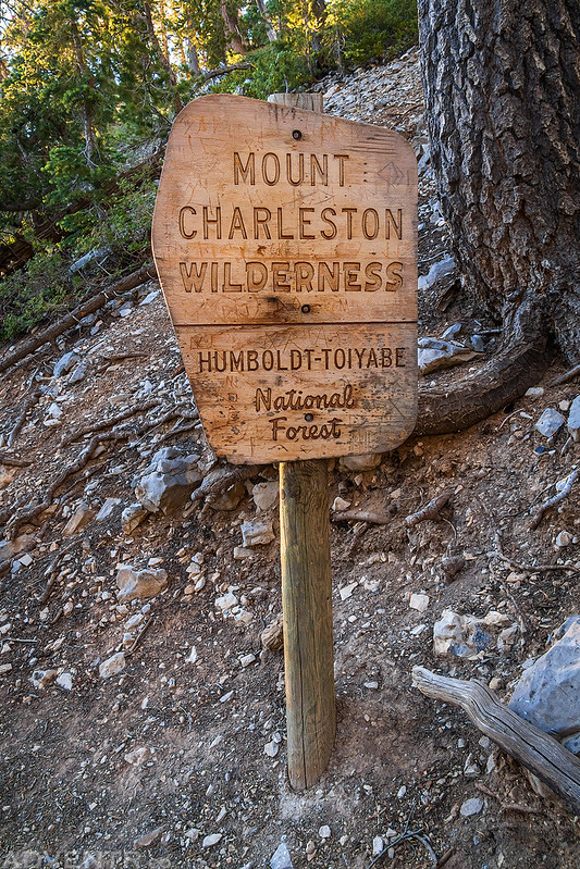Mount Charleston Wilderness Sign