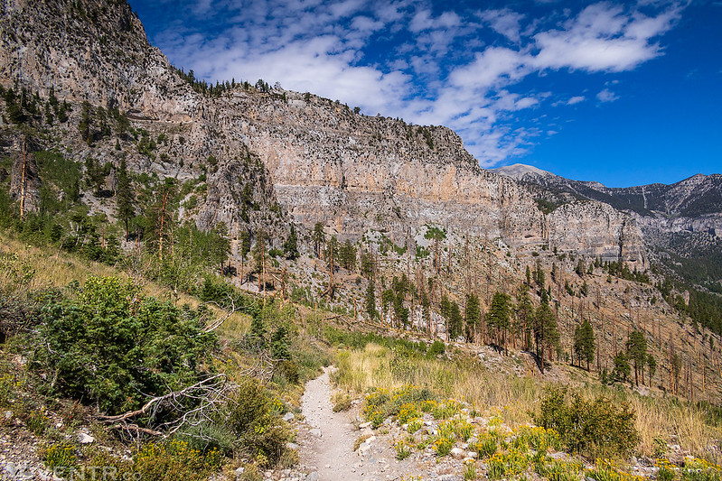 Trail Below Echo Cliff
