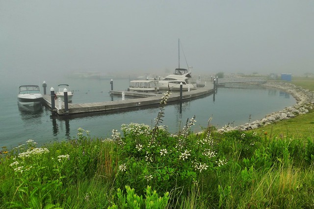 Boat Dock In Fog