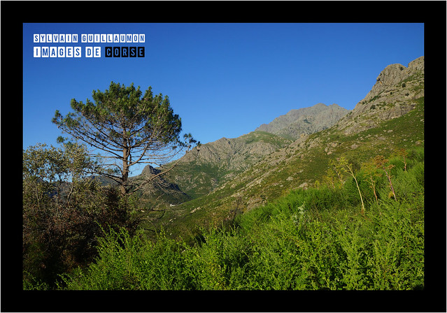 Zoom sur le Monte Grossu (1937 m), dans la descente entre Bocca di u Ravalente et Calenzana