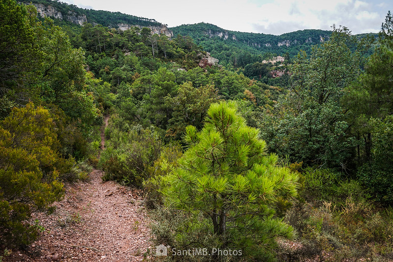 El mirador de la Pena y la casa forestal desde el camino de Matarrucs a Roques Roges