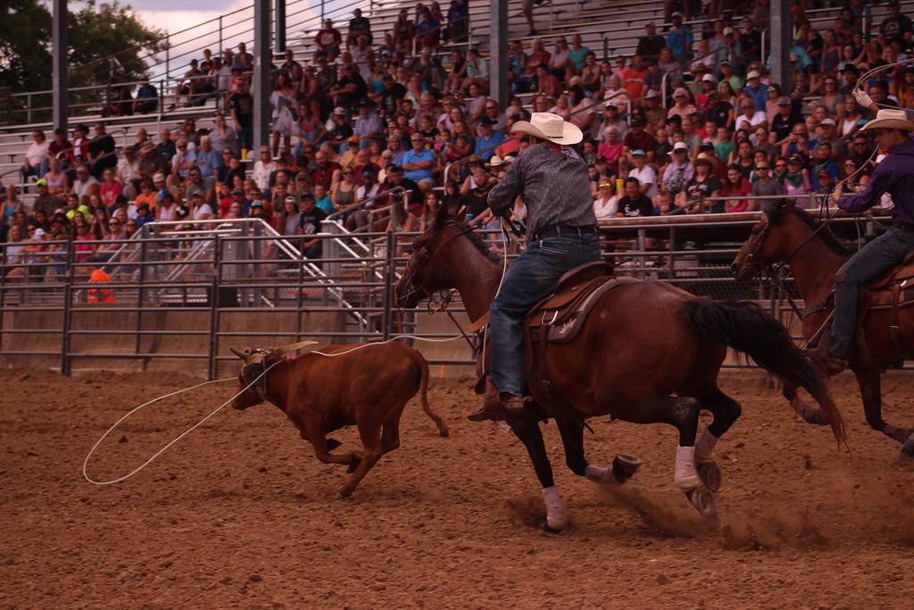 Pro Rodeo Camera 2022 Rodeo | Camera Corps | Flickr