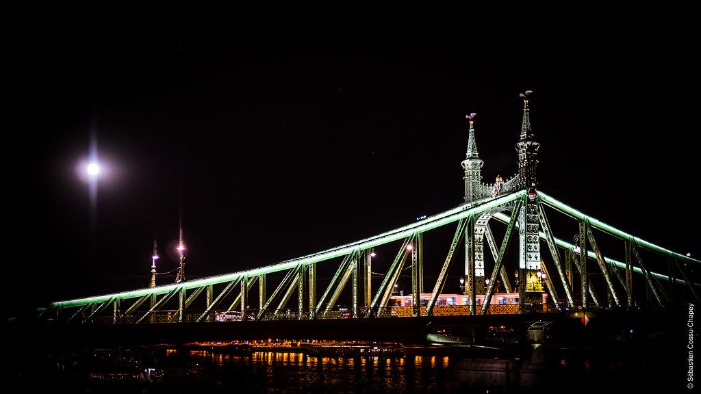 Budapest - Pont de la liberté 52262481772_77c423ed6c_b