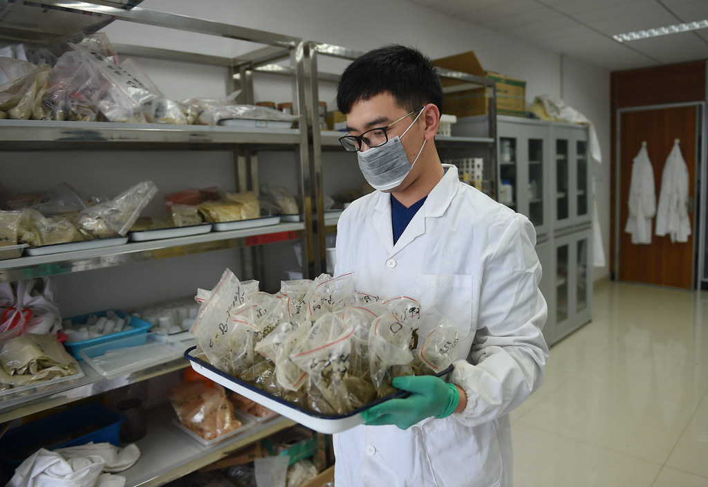 2016年的土壤修復工程期間，湖南永清環保公司的一名技術人員對採集的土壤樣本進行分析。(圖片來源: Li Ga / Alamy)