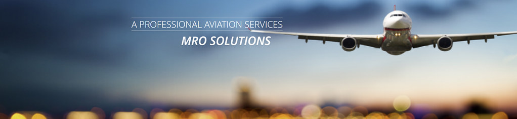 A PROFESSIONAL AVIATION SERVIC job details and career information