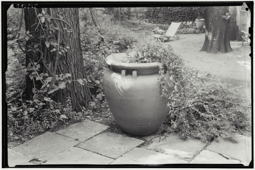 Josef Sudek :: Hana Wichterlová garden; Flowerpot | src Sudek Project archive