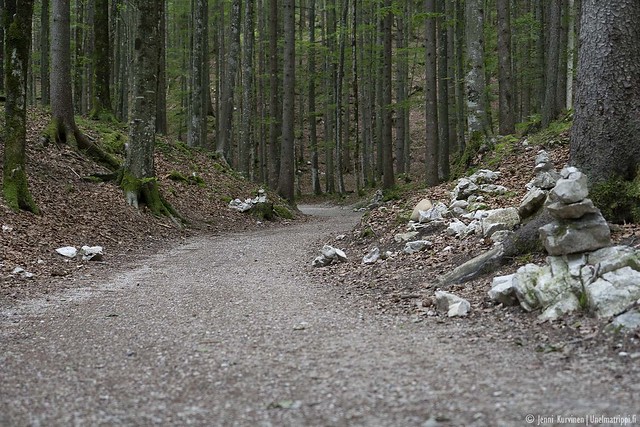 Kävelytie metsässä Leutaschklammin rotkolla