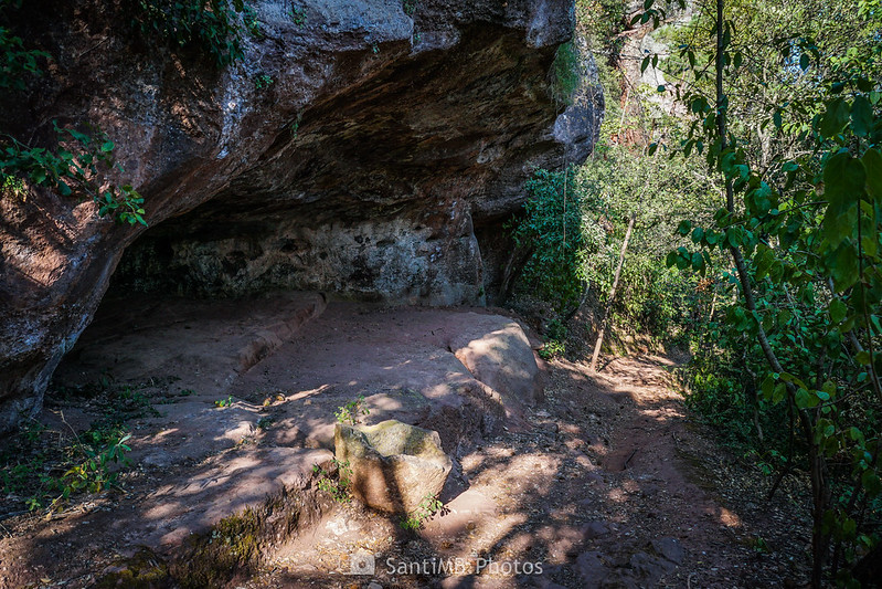 La Cova de Fra Marginet en el bosque de Poblet