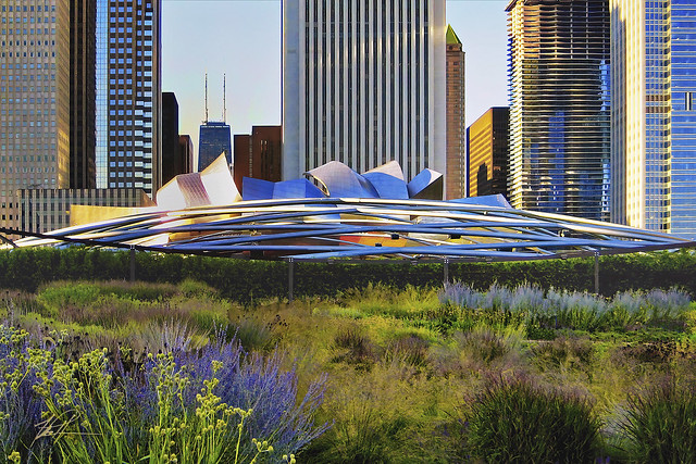 Chicago's Millenium Park—where prairie grass and classy architecture coexist