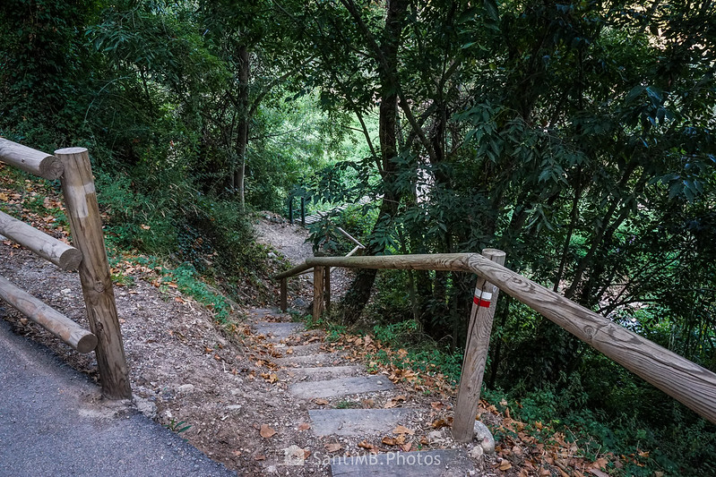 Camino al Pont Vell de Vila-rodona