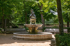 Il verde profondo dei Giardini di Aranjuez - El verde intenso de los Jardines de Aranjuez