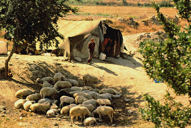 Türkei 1989, armseliges Nomadenzelt, unterwegs am Straßenrand, 79956/20956