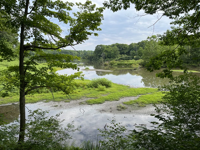 Mill Creek Park: Newport Lake