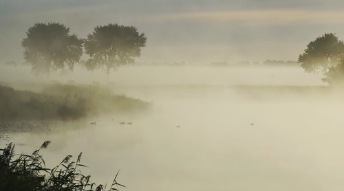 Früh morgens unterwegs - Enten; Süderhöft, Nordfriesland (32a) by Chironius, süderhöft nordfriesland schleswigholstein deutschland germany allemagne alemania germania германия n