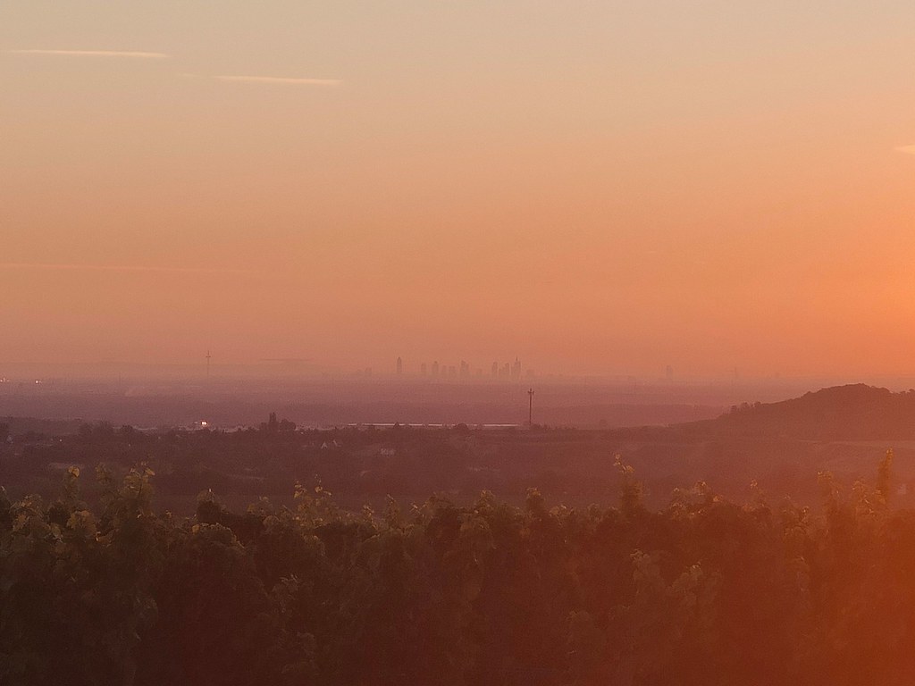 Blick nach Frankfurt: Sonnenaufgang am Wingertshäuschen auf dem Winkel #SunriseRun