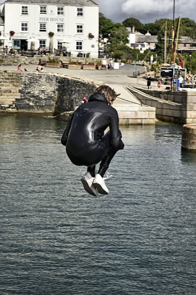 Dive bombing in the harbour.