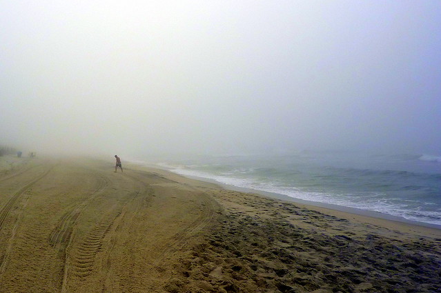 alone in the mist