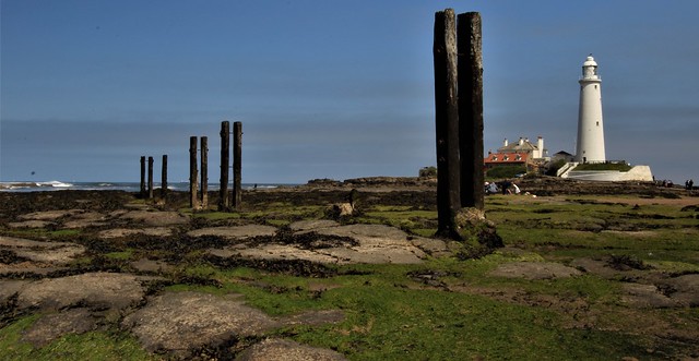 St. Mary's Lighthouse, Bait Island, North Tyneside, Tyne & Wear, England.