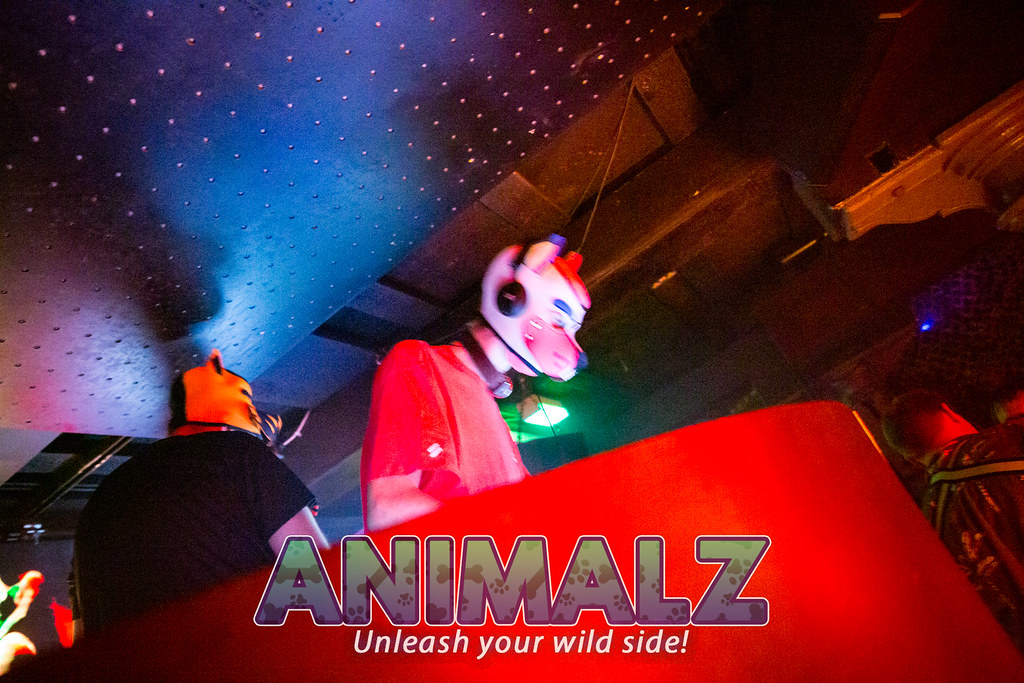 SP3B8217 | Club Animalz | Flickr