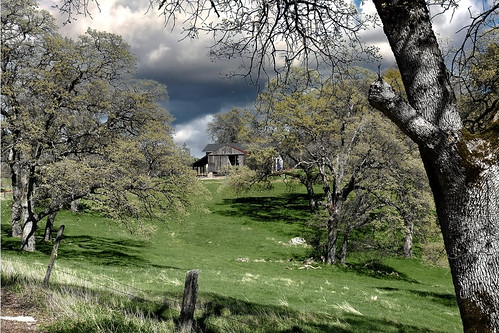 gardenvalley eldoradocounty eldorado barn grass landscape california ca trees spring usa countryside goldcountry nikon