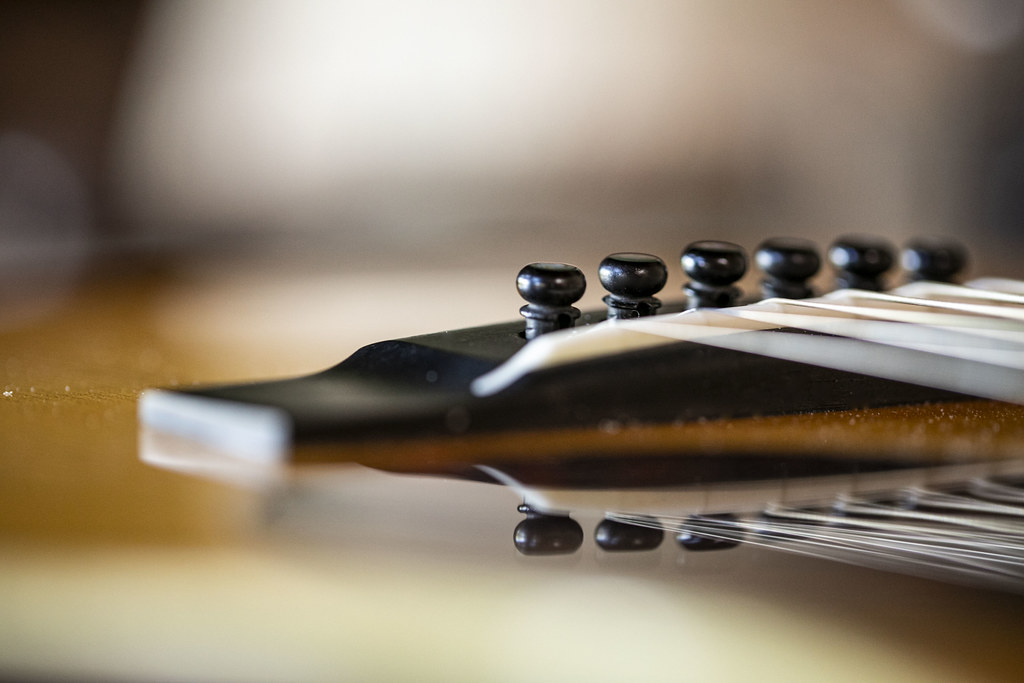 Reflections on a Martin - 