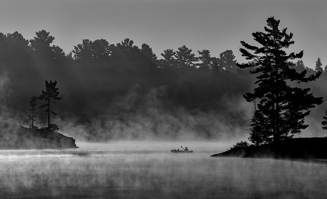 Misty Morning Calm -2700