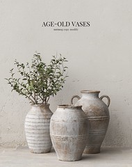 Nutmeg. Age old Vases @ Collabor 88
