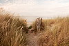 Dunes and Beach - Baltic Sea | August 7, 2022 | District of Plön - Schleswig-Holstein - Germany