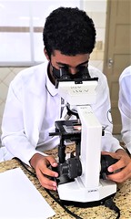 1º Série Ensino Médio. BIOLOGIA- Introdução a microscopia