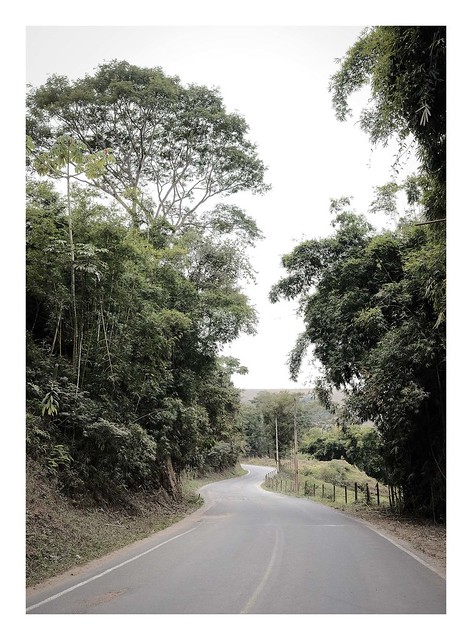 Road to São José (II)
