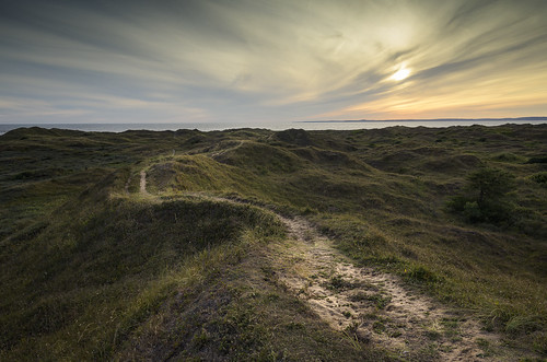 Kenfig NNR  [explored 9 August 2022] by steve_thole