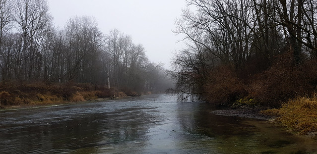 🇩🇪 River Amper near Haimhausen / Река Ампер край Хаймхаузен