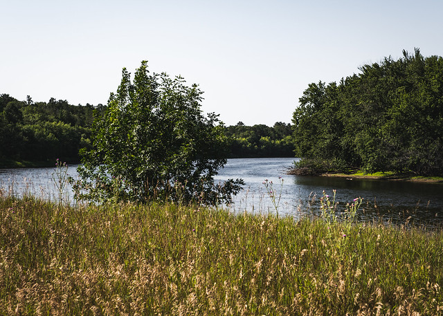 Crow Wing State Park, Brainerd 8/5/22