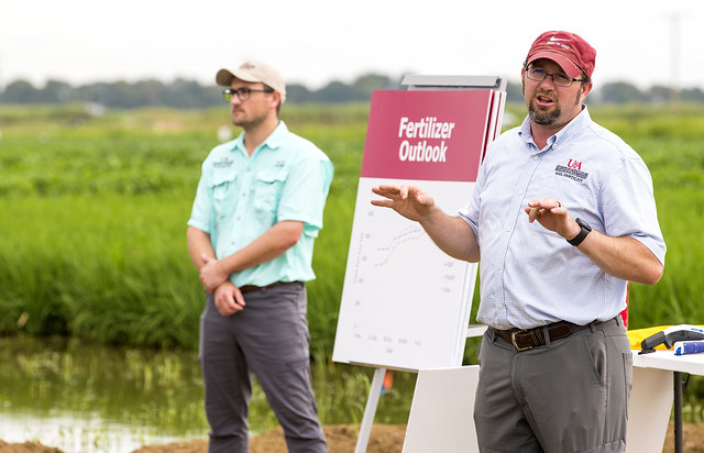 Trenton Roberts and Gerson Drescher speak to Rice Field Day attendees with rice in background.