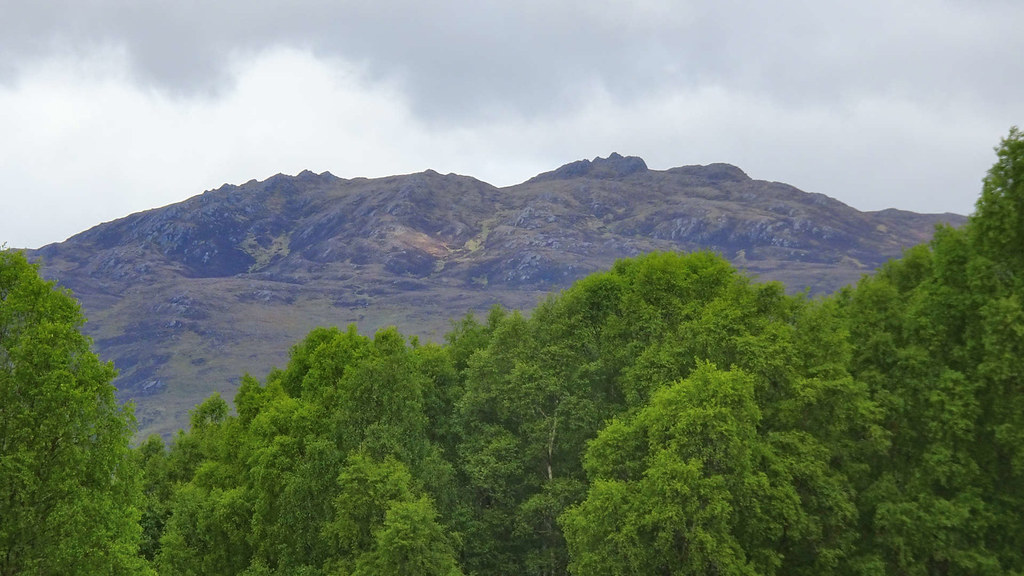 Sgòrr na Diollaid from Glen Cannich