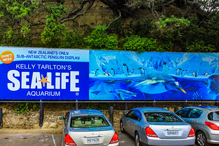 Kelly Tarlton's Sea Life Aquarium in Auckland