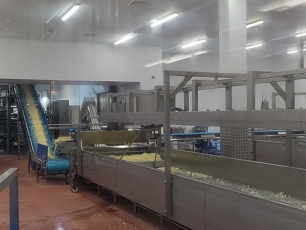 Viewing cheese being produced at the Wensleydale Creamery