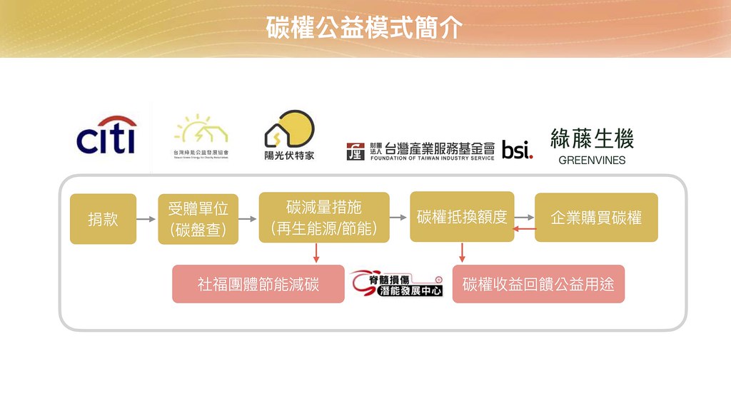陽光伏特家創辦人暨台灣綠能公益發展協會理事長陳惠萍解釋碳權公益模式。圖片來源：陽光伏特家提供