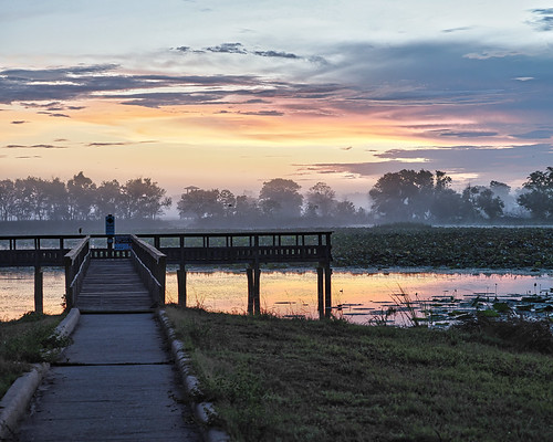 Sunrise by Pauline Z, Over 40-acre Lake in Brazos Bend State Park, Needville, Texas.
