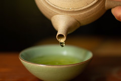 Gyokuro in a Senchado Teapot