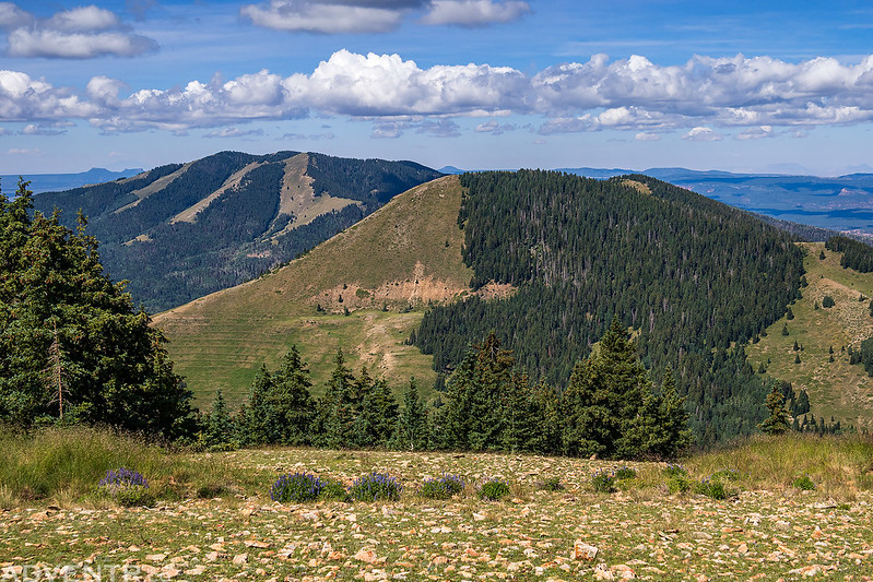 Twin Peaks & West Mountain