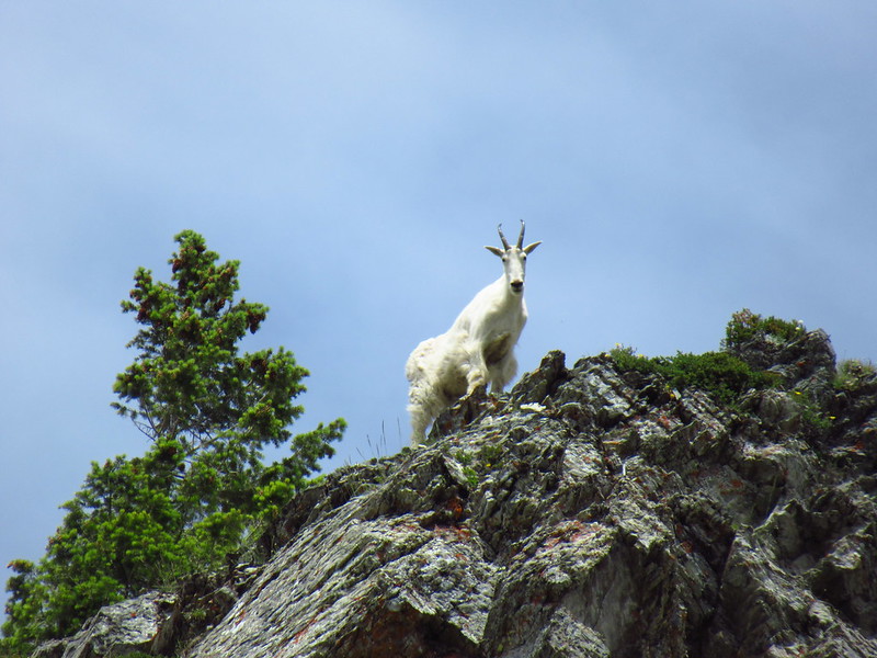 Jewel Basin Hike