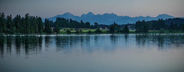 Swan Lake Panorama - Schwanensee Panorama