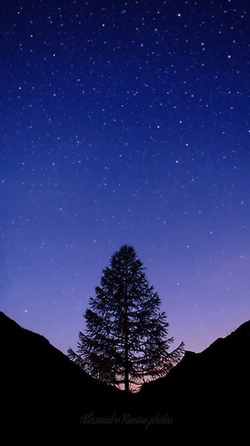 infinite by ravi0o, night sky view in Epinel, Italywpd22nature night stars stelle star sky cielo blu blue tree albero al